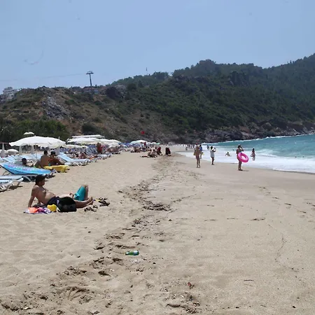 Alin Hotel 3*