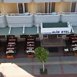 Отель Alin
