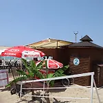 酒店 阿林酒店 3*