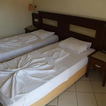 Hotel Alin 3*