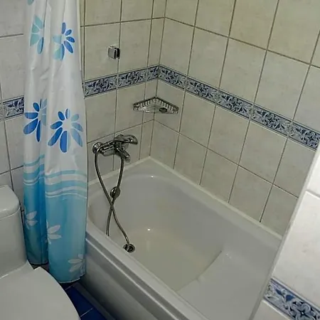 فندق ألين 3*