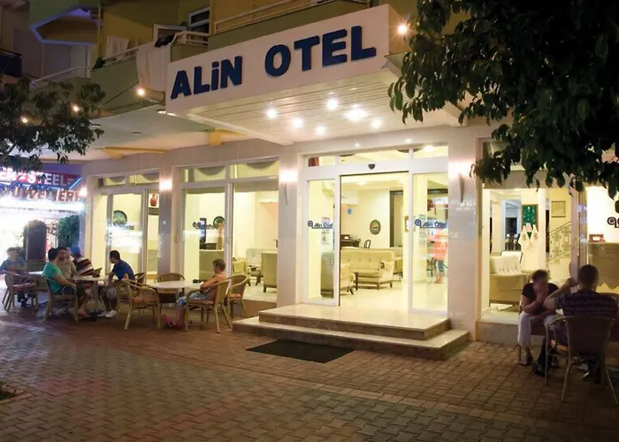 Отель Alin