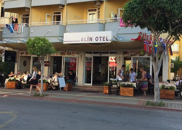 Отель Alin